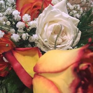 Meet your Posher, Zoe